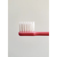 オーラルサイン Slippi(スリッピ) 超コンパクト 144本 4580796251023 1セット(6本×24個セット（直送品）