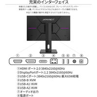 ジャパンネクスト 27インチ ワイド ディスプレイ JN-27IPS4FLUHDR-C65W-HSP 1個（直送品）
