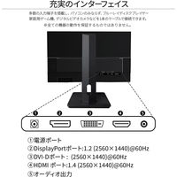 ジャパンネクスト 23.8インチ ワイド ディスプレイ JN-IPS2380FLWQHD-HSP 1個（直送品）