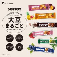 ソイジョイ　フルーツ＆ベイクドチーズ　1セット（48本）　栄養食品　低GI食品　大塚製薬