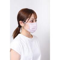 Kirei Mask（キレイマスク） コーディネートカラー（ラベンダー・モカ）すこし小さめ 1箱（40枚入） 川本産業 カラーマスク