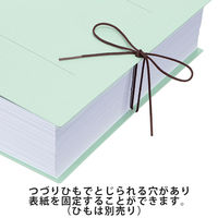 コクヨ アスクル 共同企画 背幅伸縮ファイル PPラミネートA4ヨコ ブルー 10冊 オリジナル