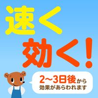 アースガーデン おうちの草コロリ 粒タイプ 除草剤 雑草対策 3kg 1個 アース製薬