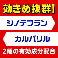 ムカデ 駆除剤 対策 置き型 ムカデコロリ 駆除エサ剤 屋外 室内 殺虫剤 毒餌剤 ベイト剤  1パック（8個入×2箱） アース製薬