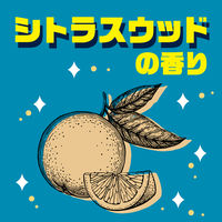 サラテクト ACTFIT カードタイプ 虫よけミスト 不快害虫 虫除けスプレー シトラスウッドの香り 18ml 1個 アース製薬