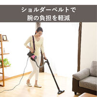 ツインバード パワーハンディクリーナー HC-5252P 1台