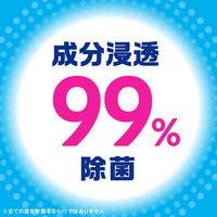 掃除 隙間 時短 らくハピ エアコンの防カビスキマワイパーセット（防カビシート4枚+専用ワイパー） 1個 アース製薬