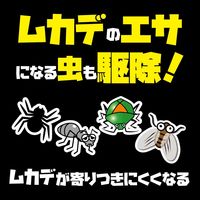 ムカデムエンダー 家中まるごと ムカデ  カメムシ 害虫 スプレー  60プッシュ 最大90畳 1本 KINCHO キンチョー