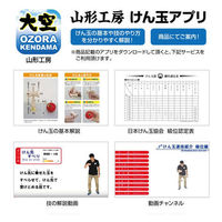 山形工房 山形 競技用けん玉 大空 マット水色&黄色 2022510 1個（直送品）