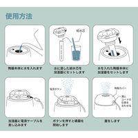 デコレコーポレーション デコレ USB潤いポット サボテン AG-86301 1個