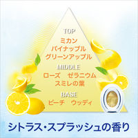 【アウトレット】【旧品】ファブリーズW消臭 トイレ用 置き形 シトラス・スプラッシュ 1パック（2個入） 消臭剤 P＆G