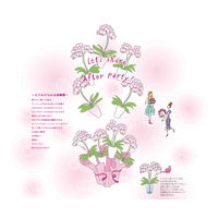 AoyamaLab ギフトカード　御祝熨斗　お祝い　贈り物に　シェアオーキッド・10人分(10号鉢10本立ち イエロー系)　二重封筒（直送品）