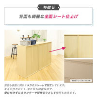 ネットフォース シューズラック 靴箱 2列6段 12人用 ナチュラル NF-SR0612-12-AW 1台（直送品）