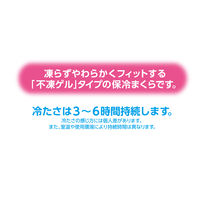 白元アース アイスノンやわらかフィット 3個