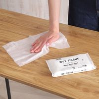 昭和紙工 昭和紙工ノンアルコールウエットティッシュ大判タイプ 4957434009221 1個(20枚)