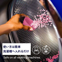 ダウニー（Downy） フレッシュプロテクト エイプリルフレッシュ 257g　香り付け専用剤 P＆G