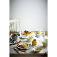 アイトー #0520137 シエル レンジパックL YE 1個（直送品）