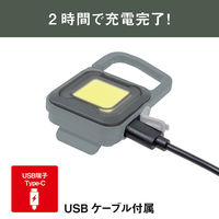 ムサシ 充電式フラッシュライト6W GB COB-WL006GB 1個