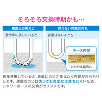 カクダイ GA-FK172 抗菌シャワーホース 2.9mマットBK 1本（直送品）