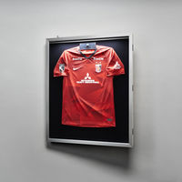 アルナ LEDユニフォームケース Mサイズ (フレーム:シルバー 布:ベージュ) UVアクリル 077281 1台（直送品）