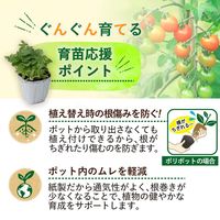 コモライフ 土に還る園芸ポット 391478 1個(30個)