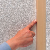 クロスパテ 5g カベ キズ 隠し 補修 パテ ビニールクロス 穴埋め 1個 日本ミラコン産業