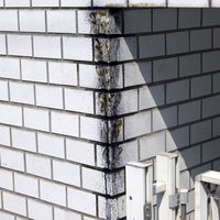 外まわり洗い 300mL 屋外 玄関 ベランダ 汚れ落し 洗剤 掃除 1個 日本ミラコン産業