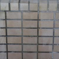 白華汚れ落し 100mL 屋外 洗剤 ブロック タイル エフロ 掃除 汚れ 1セット（3個）日本ミラコン産業