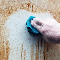 リビングクリーン300mL 1セット（3個） 日本ミラコン産業