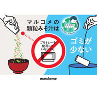 フリーズドライ 顆粒みそ汁 料亭の味とん汁 10個 マルコメ