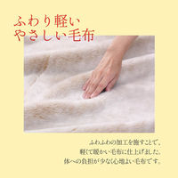 西川 洗えるボリューム毛布 吸湿発熱 ムレにくい まるでウールのようなやわらかタッチ シングル グレー FQ02010401 1枚（直送品）