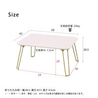 永井興産 ニーナ 折りたたみテーブル 幅600×奥行450×高さ305mm ピンク NK-760PI 1台（直送品）