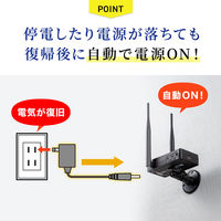 サンワサプライ ワイヤレスHDMIエクステンダー(据え置きタイプ・セットモデル) VGA-EXWHD11 1個（直送品）