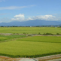 AoyamaLab オンラインギフト URLですぐ納品 贈り物や景品に 「米屋五郎兵衛 特撰」 十日町産魚沼コシヒカリ白米 2kg メール1通（直送品）