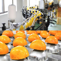 AoyamaLab オンラインギフト URLですぐ納品 贈り物や景品に 和歌山 伊藤農園 5種の柑橘ジュース メール1通（直送品）