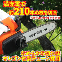 エアロボックス YF LSC18-JP 24Vハンディチェンソー 6939500729583 1セット（直送品）