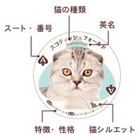 アイアップ ねこトランプ 玩具 おもちゃ カード 008692 1個（直送品）