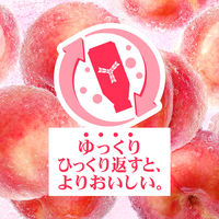 アサヒ飲料 三ツ矢特濃 ピーチスカッシュ 500ml 1セット（48本）