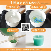 カメヤマ 手作りキャンドル キャンドルスターターキット 400921 1個（直送品）