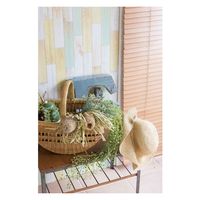 アール はがせる 壁紙 デコアップ リメイクシート Vパステル 270032 1個（直送品）