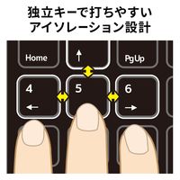 サンワサプライ 抗菌テンキー NT-25UBK 1個（直送品）