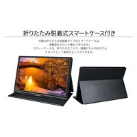 JAPANNEXT 10.1インチ ワイドモバイルディスプレイ JN-MD-IPS1012HDR 1個