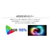 ジャパンネクスト 23.8インチ 液晶ディスプレイ JN-HSP238IPSFHD 1個（直送品）