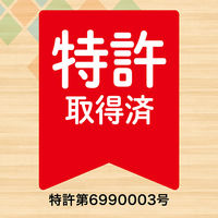 ナチュラルクリーニング 激落ちくん クエン酸スプレー 詰め替え 500mL 1個 レック