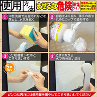 茂木和哉 極 水垢洗剤 1個 レック