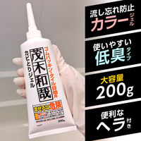茂木和哉 カビとりジェル ゴムパッキン・タイル目地用 200g 1セット（2個） レック