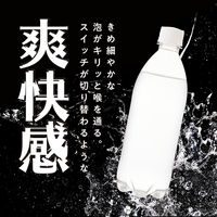 アイリスフーズ株式会社 富士山の強炭酸水 ラベルレス 500ml 1セット（48本）