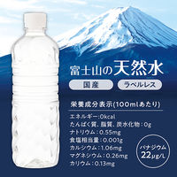 アイリスフーズ株式会社 富士山の天然水 ラベルレス 500ml 1セット（48本）