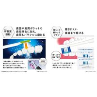 パナソニック 音波振動ハブラシ ドルツ EW-DP36-W 1台