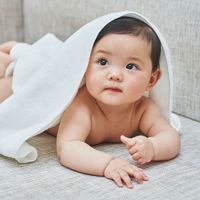 アッシュコンセプト バスタオル ギフトセット グレー×ホワイト DH-041-GW 1セット